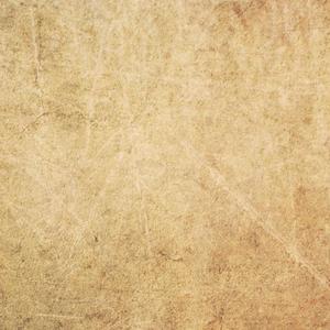 欧美人妖性交色情欣赏
