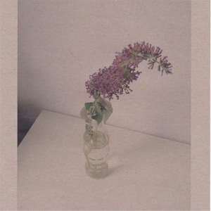 欧美人妖性交色情欣赏
